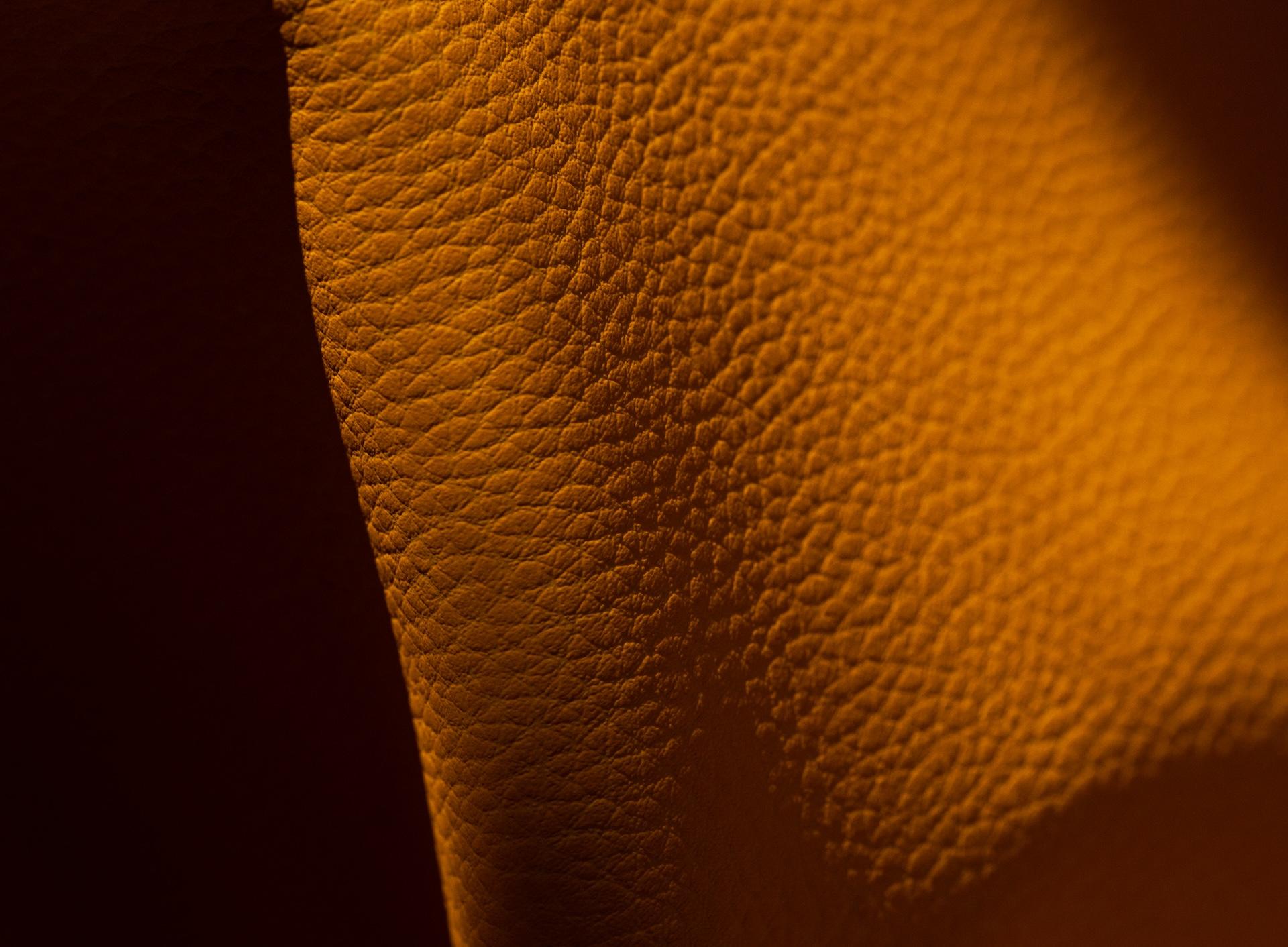 beer skin